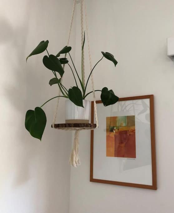 Mi Casa Su Casa Adelaide