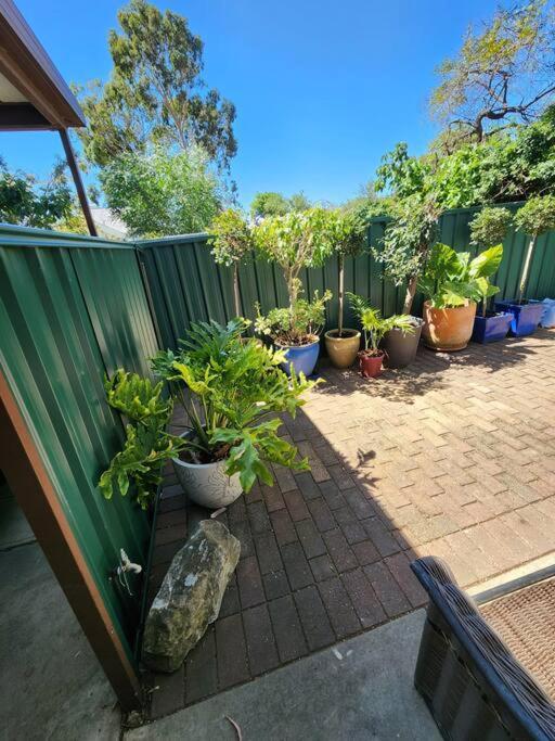 Apartment Beautiful And Cozy Adelaide