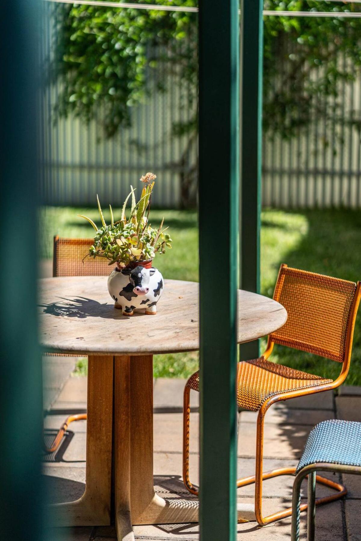 The Spotted Cow, Fringe, Pet-friendly Adelaide