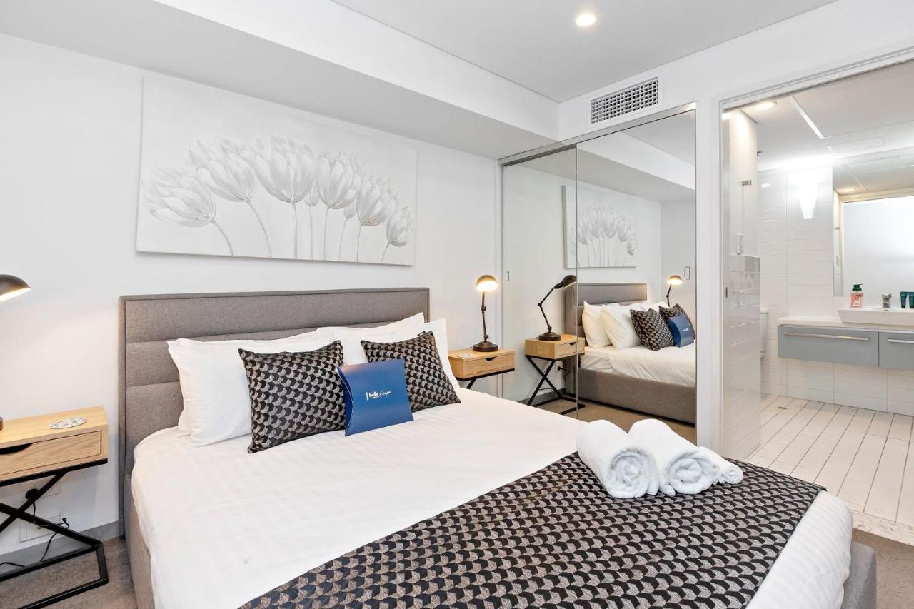 Lily - North Terrace Cityscape Adelaide