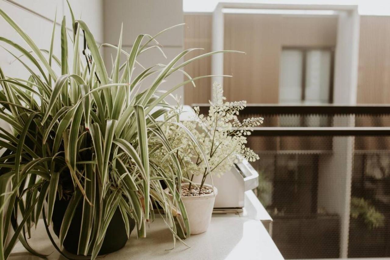 Sylo Luxury - 1gb Fibre Internet Apartment Adelaide