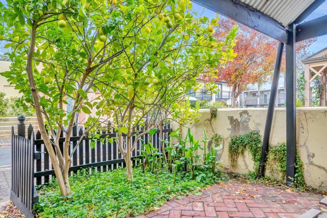 Holiday home The Lemon Tree - Charming In North