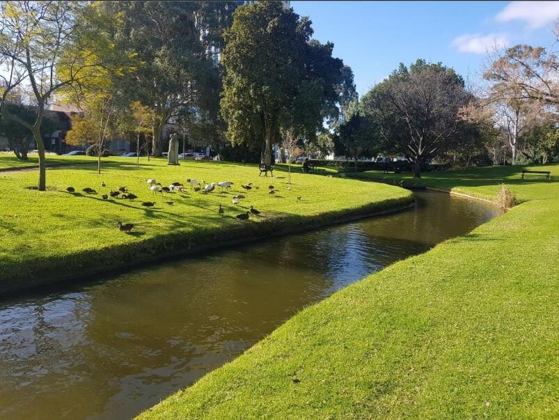 Pure Elegant City Apt -free Parking- Wifi- View * Adelaide