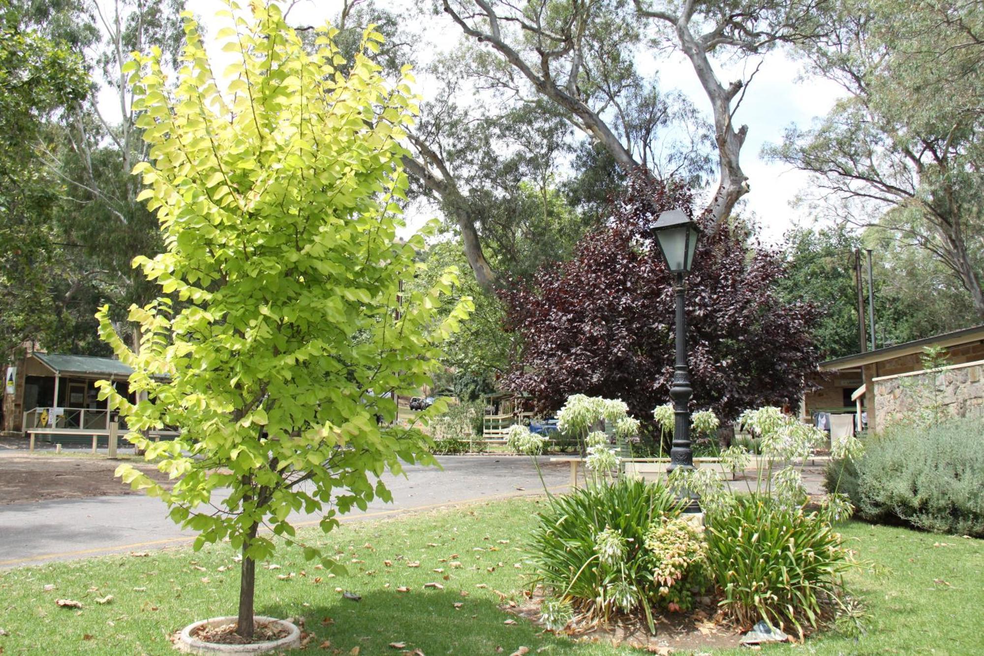 Holiday park Brownhill Creek Tourist Park