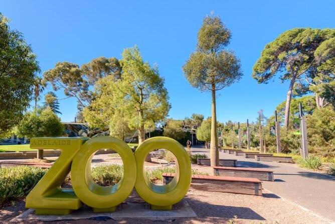 1br Retreat In The Heart Of North Terrace Wifi