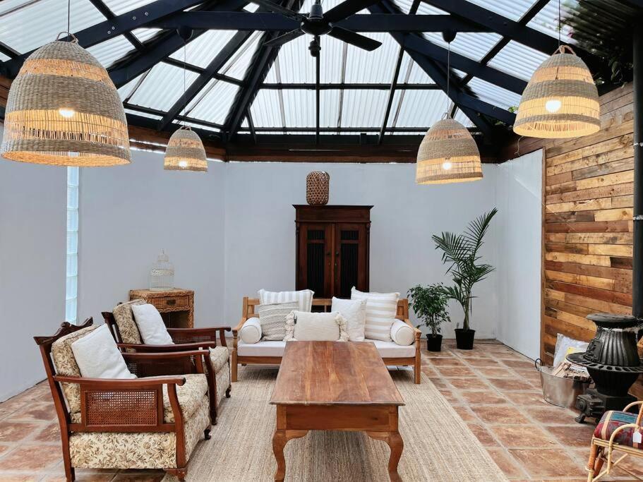 Cozy & Bright Lavender House