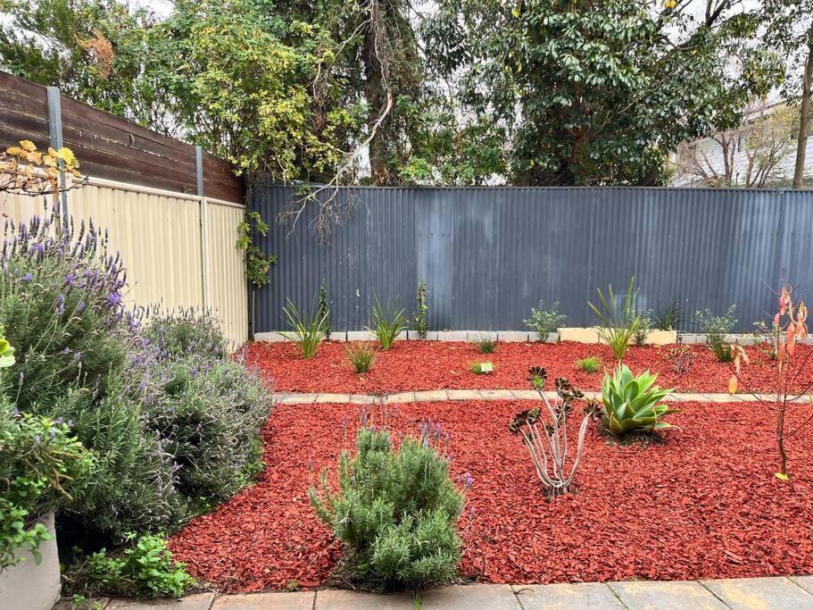 Cozy & Bright Lavender House Villa Adelaide