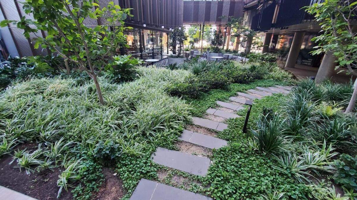 Zen Vibe, Entire Apt, With Study Room, Wifi, Central, Cafe Apartment Adelaide