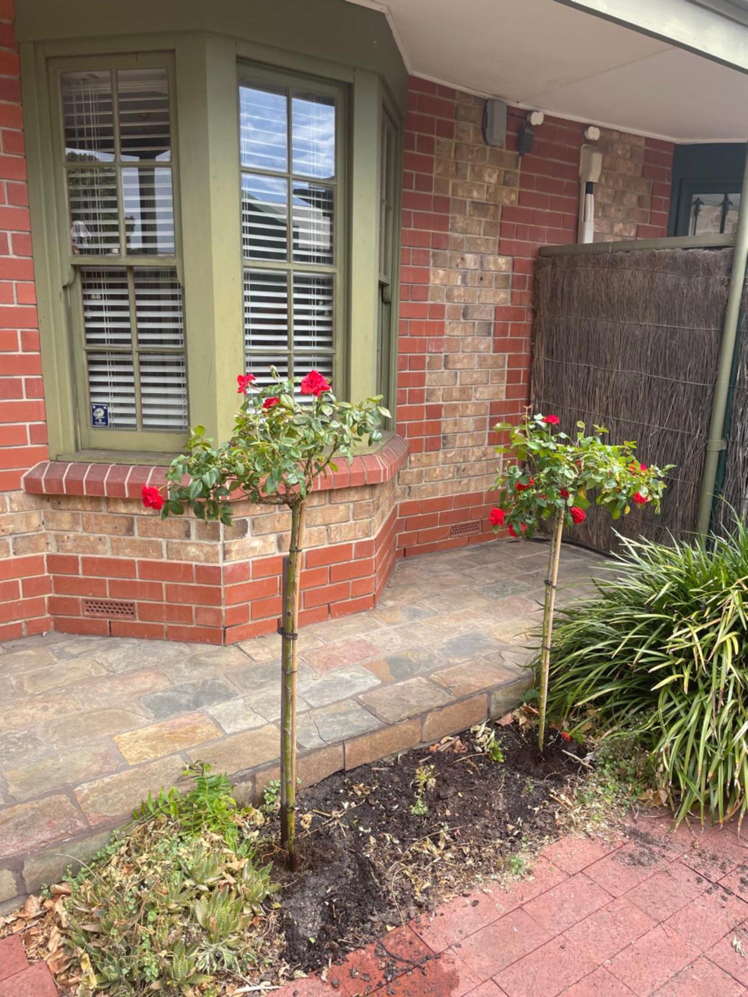 Style Accommodation-getaway In North Adelaide- Close To Apartment