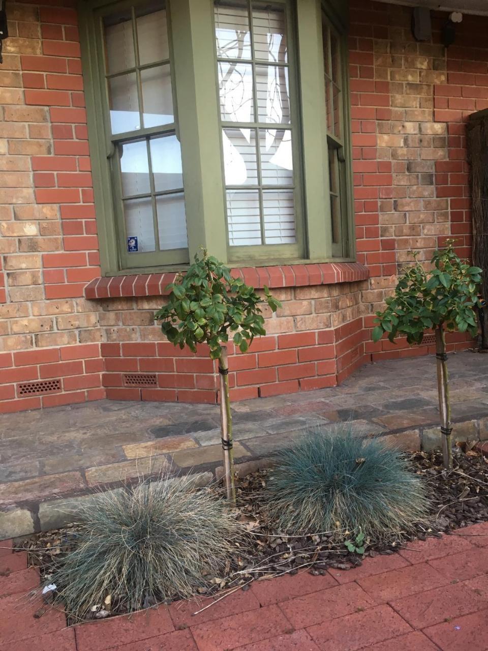 Apartment Style Accommodation-getaway In North Adelaide- Close To