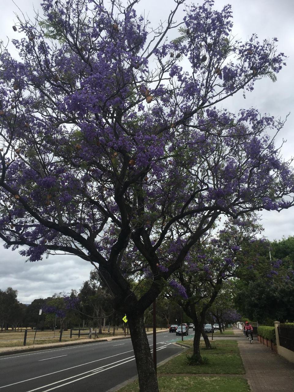 Style Accommodation-getaway In North Adelaide- Close To * Adelaide