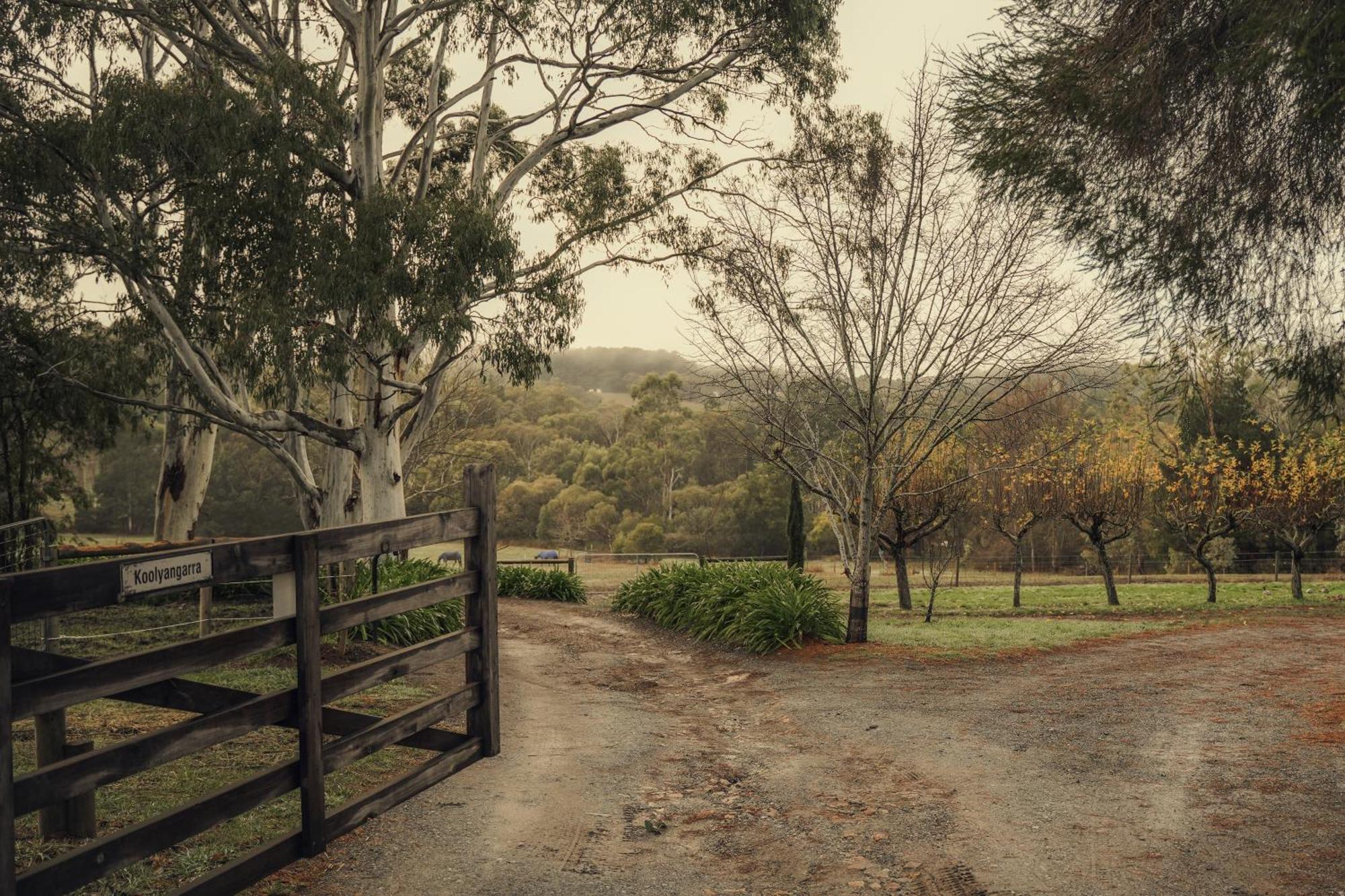 Koolyangarra Hills Adelaide